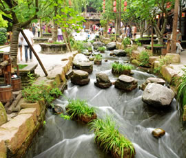 千年水碼頭、古鎮(zhèn)黃龍溪一日游