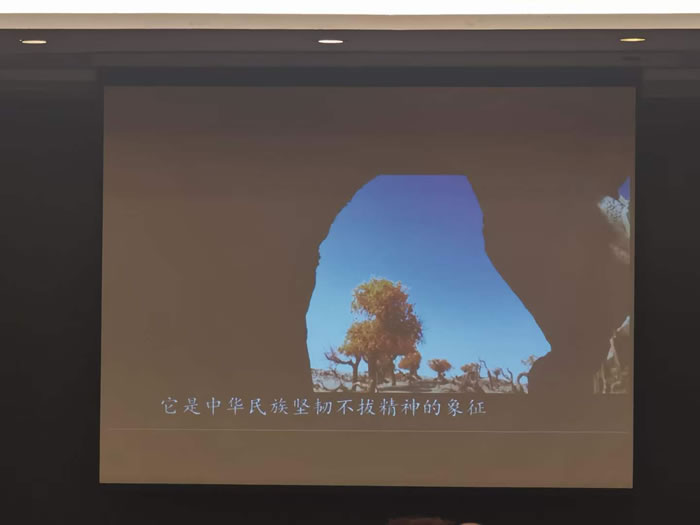 綿陽中旅行假日旅行社舉行胡楊林、南疆專列推薦會