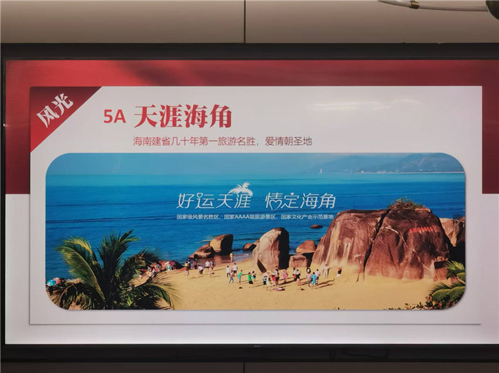 綿陽中旅假日旅行社2025年暖冬線路推薦會